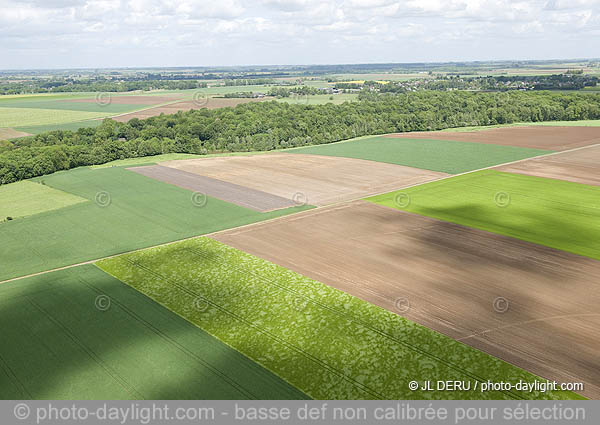 agriculture - Hesbaye